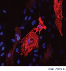 CCM011 Data Examples