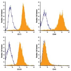 Phenotypic Analysis of Human MSCs Expanded in MSC Expansion Media.