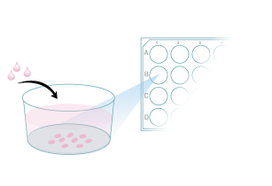 Verify desired amount of cells per milliliter in Complete Cortical Neuron Culture Media.