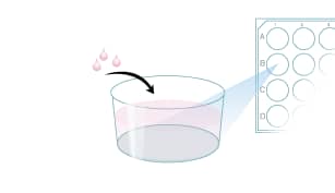 Prepare glass coverslips ofr cell culture plates