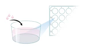 Suspend cells in media