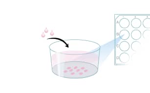 Suspend cells in media