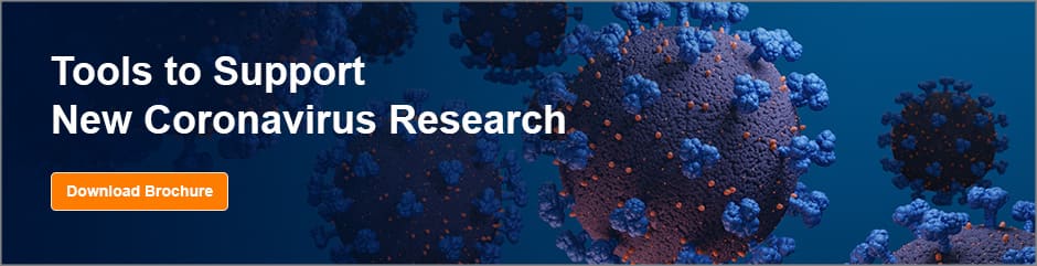 Ace-2 Is Shown To Be The Entry Receptor For Sars-cov-2: R&d Systems