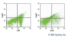 FMC015 Data Examples