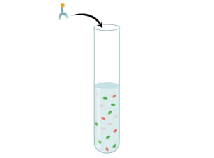 Cell Staining Protocol Step 4