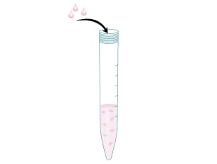 Transfer the appropriate volume of cells plus a slight excess into a new 15 mL centrifuge tube