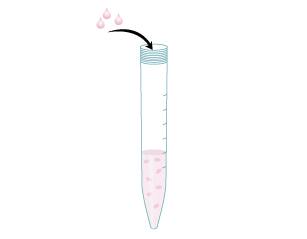 Transfer the appropriate volume of cells plus a slight excess into a new 15 mL centrifuge tube