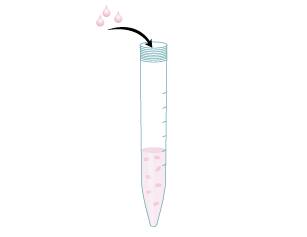 Transfer the appropriate volume of cells plus a slight excess into a new 15 mL centrifuge tube