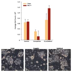 Superior human pluripotent stem cell recovery using CryoDefend-Stem Cells