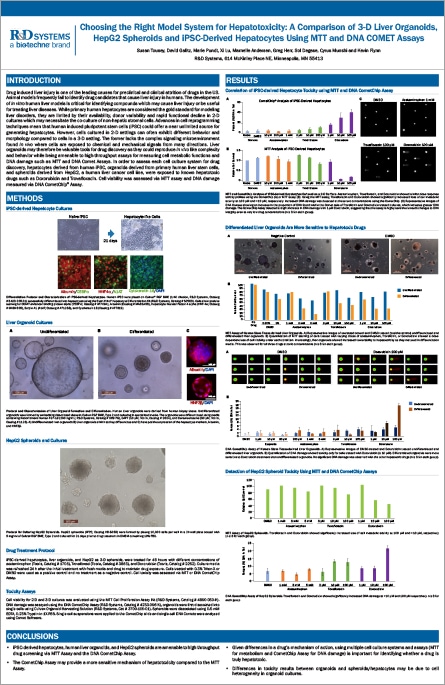 Magnet-free Treg Expansion and Activation for Cell Therapies