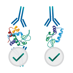 gear intra-cellular