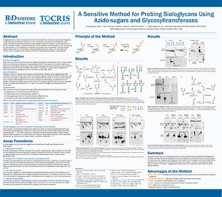 Sialoglycan Detection