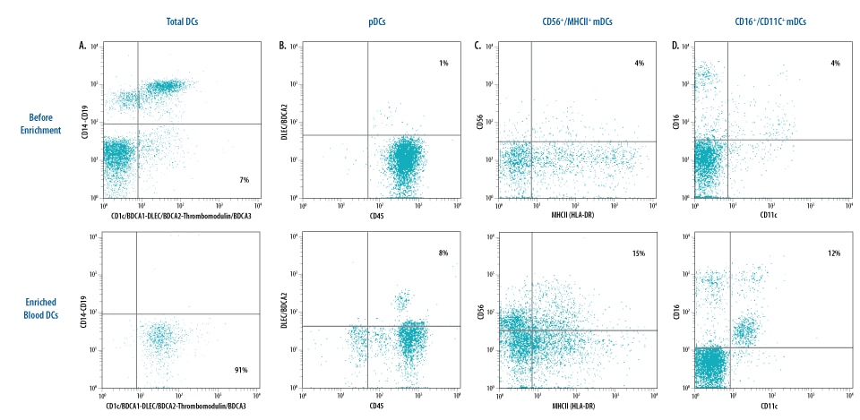 Detection of Phosphorylated Nbs1 on S343 by Western Blot.