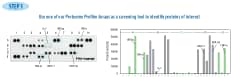 R&D Systems Human Cytokine Array Kit, Panel A (Catalog # ARY005)