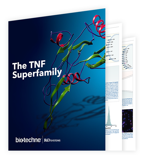 The TNF Superfamily