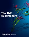 The TNF Superfamily