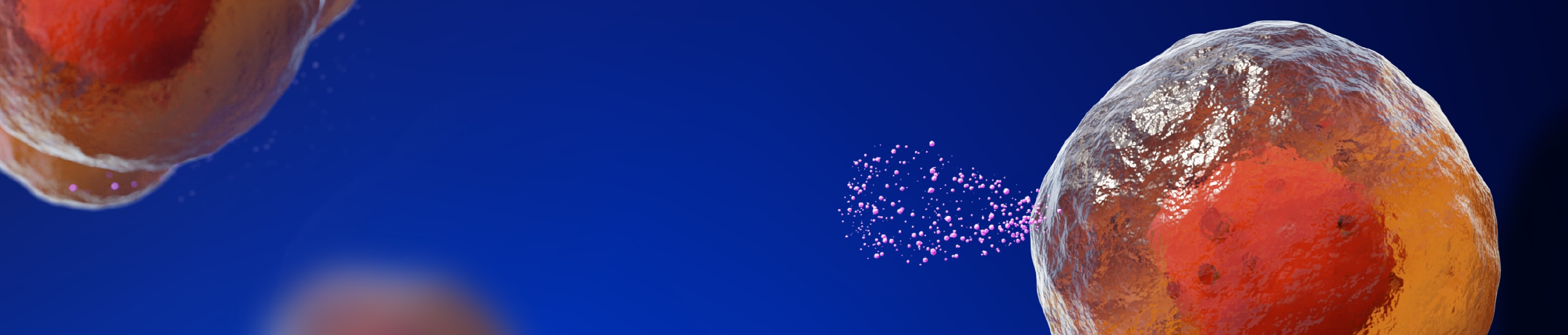 2D vs 3D Microtissues: 3D Prostate Cancer Cultures Show Increased Biological Activity of EVs thumbs