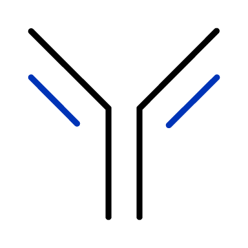 Antibodies Icon