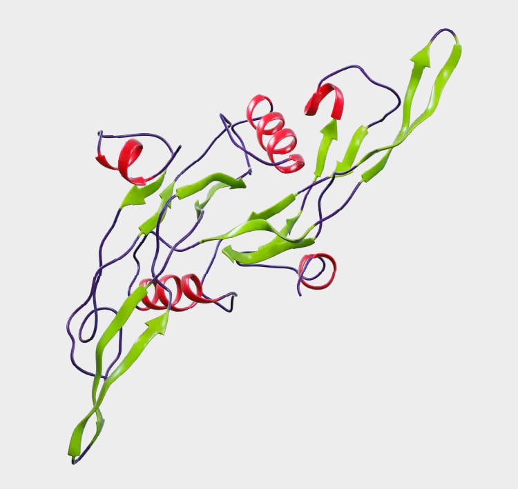 Ribbon Structure of TGF-Beta1