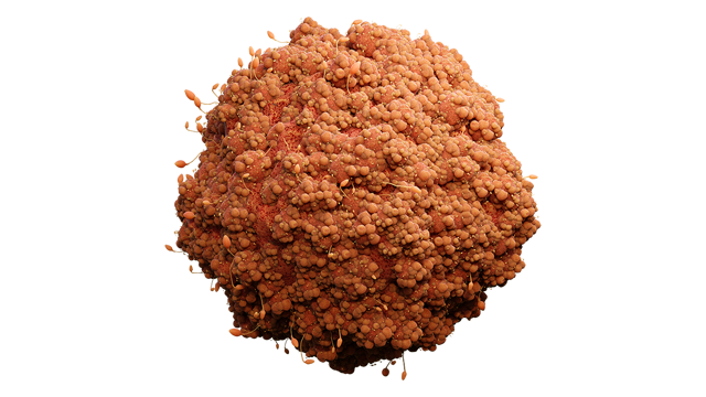 cancer cell 3d imagery