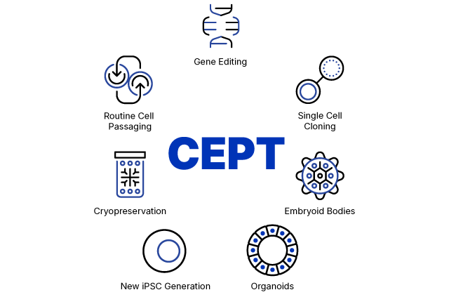 CEPT Cocktail Kit Img