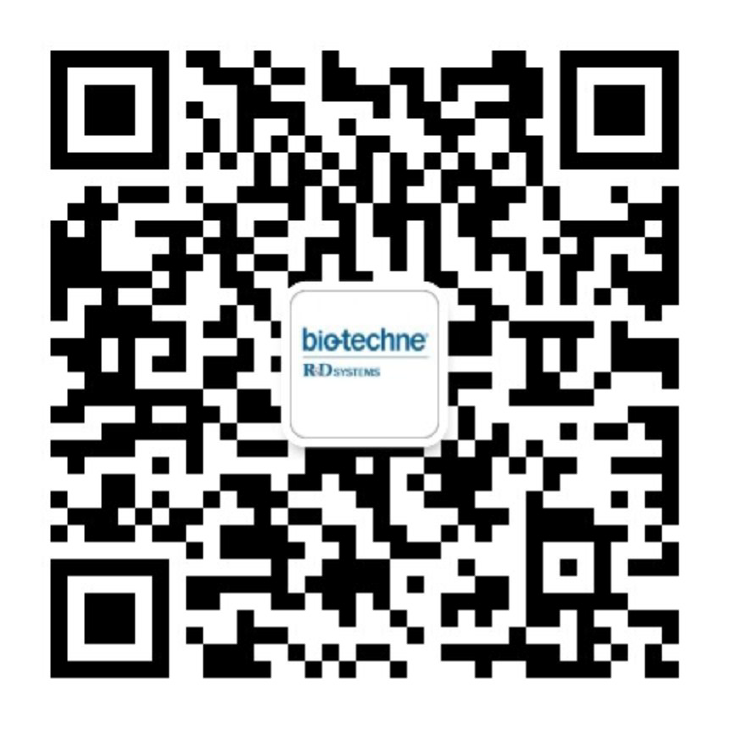 Chinese Page QR Code 1