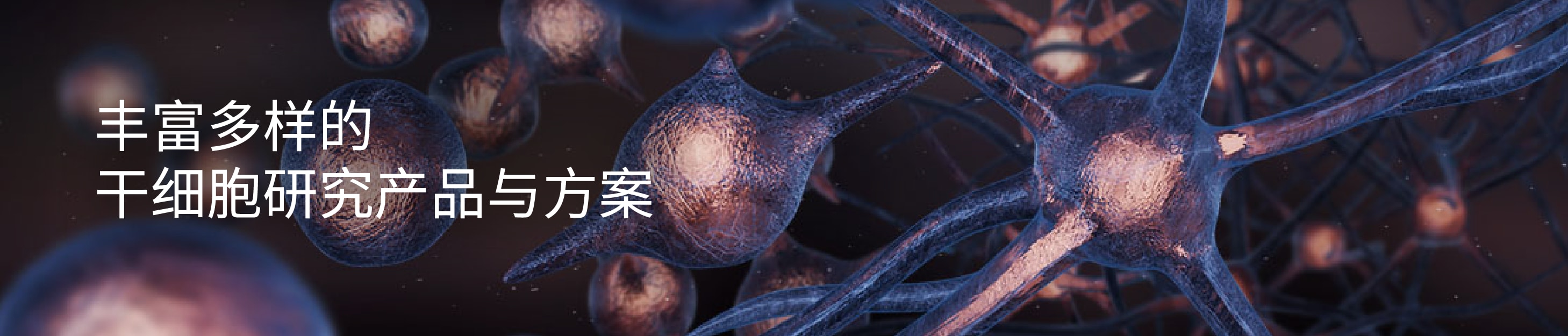 Chinese Page Promo Banner 2