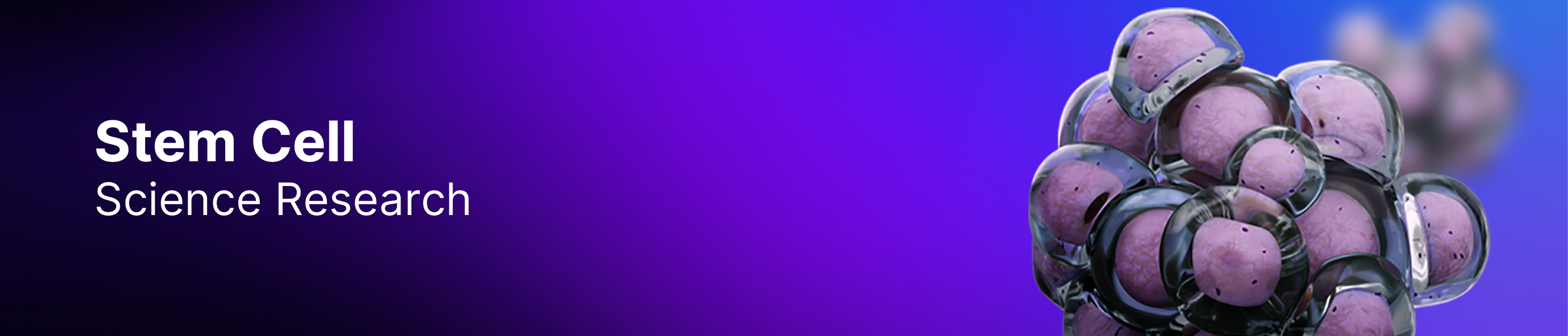 Chinese Page Stem Cell Banner