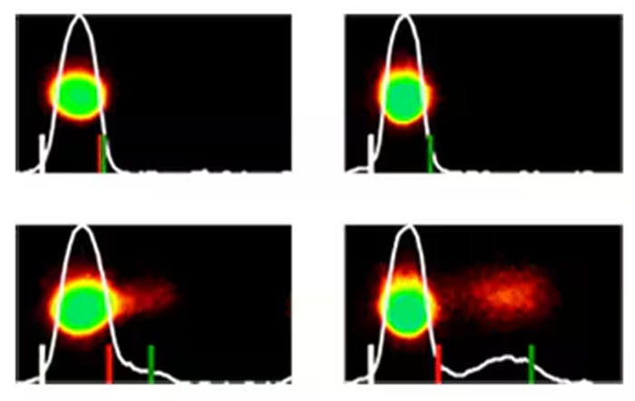 Comet Assay Software 4 images