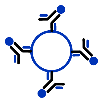 Conjugated Antibodies Icon