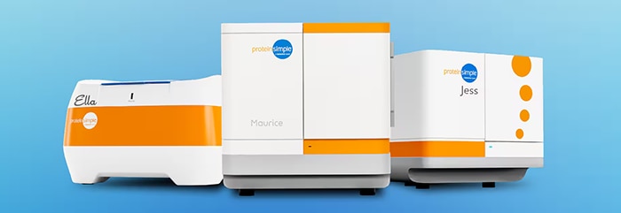 Jess Maurice Ella instruments