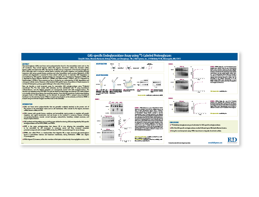 GAG-specific Endoglycosidase Assay using 35S-Labeled Proteoglycans Poster