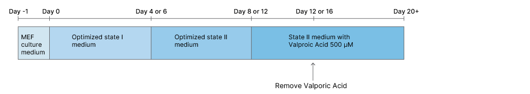 Timeline for Highly Efficient Generation of CiPSCs from MEFs