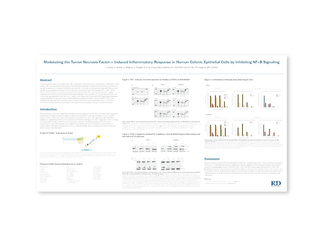 Modulating the Tumor Necrosis Factor-alpha Induced Inflammatory Response in Human Colonic Epithelial Cells by Inhibiting NF kappa B Signaling thumb
