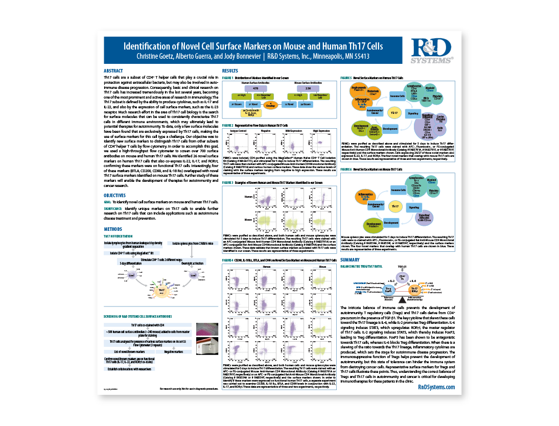 Identification of Novel Cell Surface Markers on Mouse and Human Th17 Cells thumb