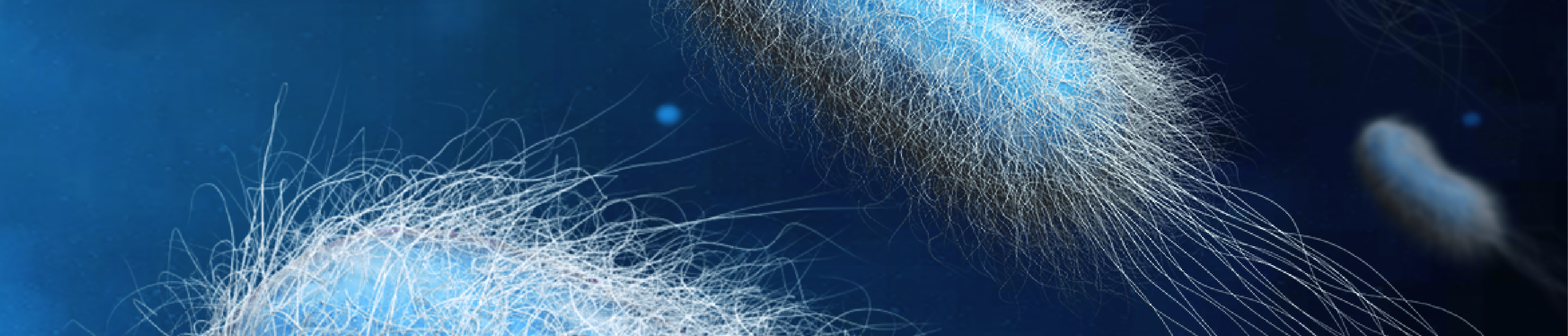 PAMPs and DAMPs: The Differences and Similarities Between These Molecules Banner