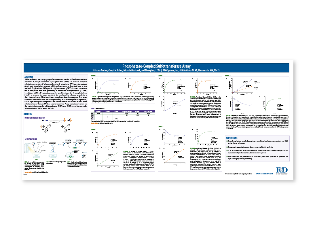 Phosphatase-Coupled Sulfotransferase Assay thumb