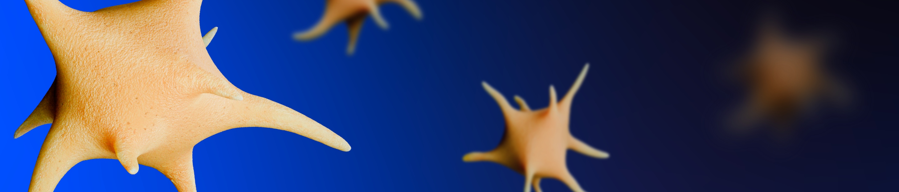 New Collection of Platelet Activation Pathways Banner