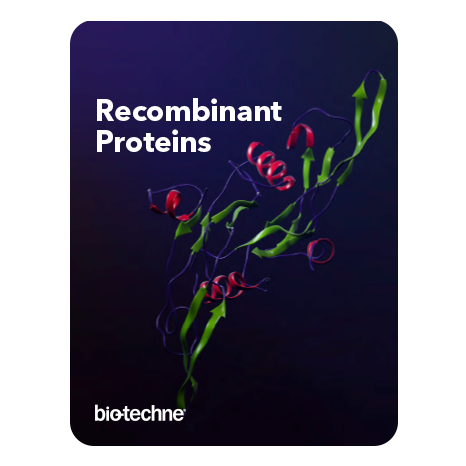 Recombinant Proteins Brochure