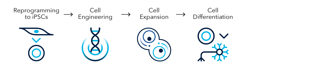 Regenerative Medicine Workflow Diagram