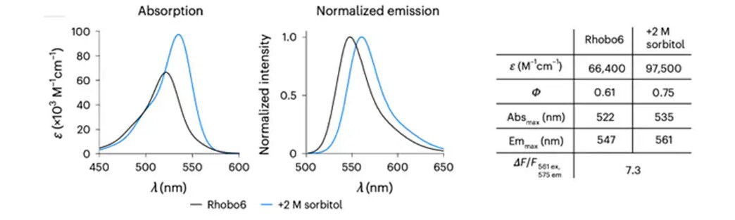 Absorption and emission spectra and photophysical properties of Rhobo6 ECM Dye