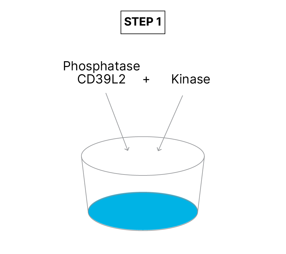 Universal Kinase Activity Kit Assay Principle fig 1