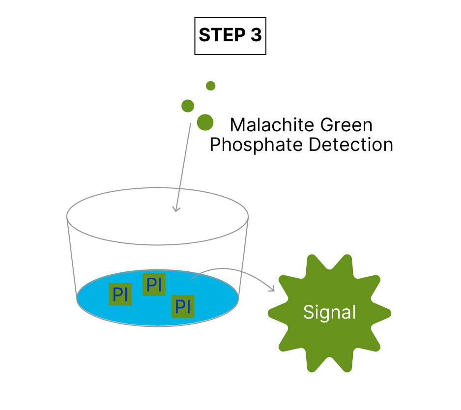 Universal Kinase Activity Kit Assay Principle fig 3
