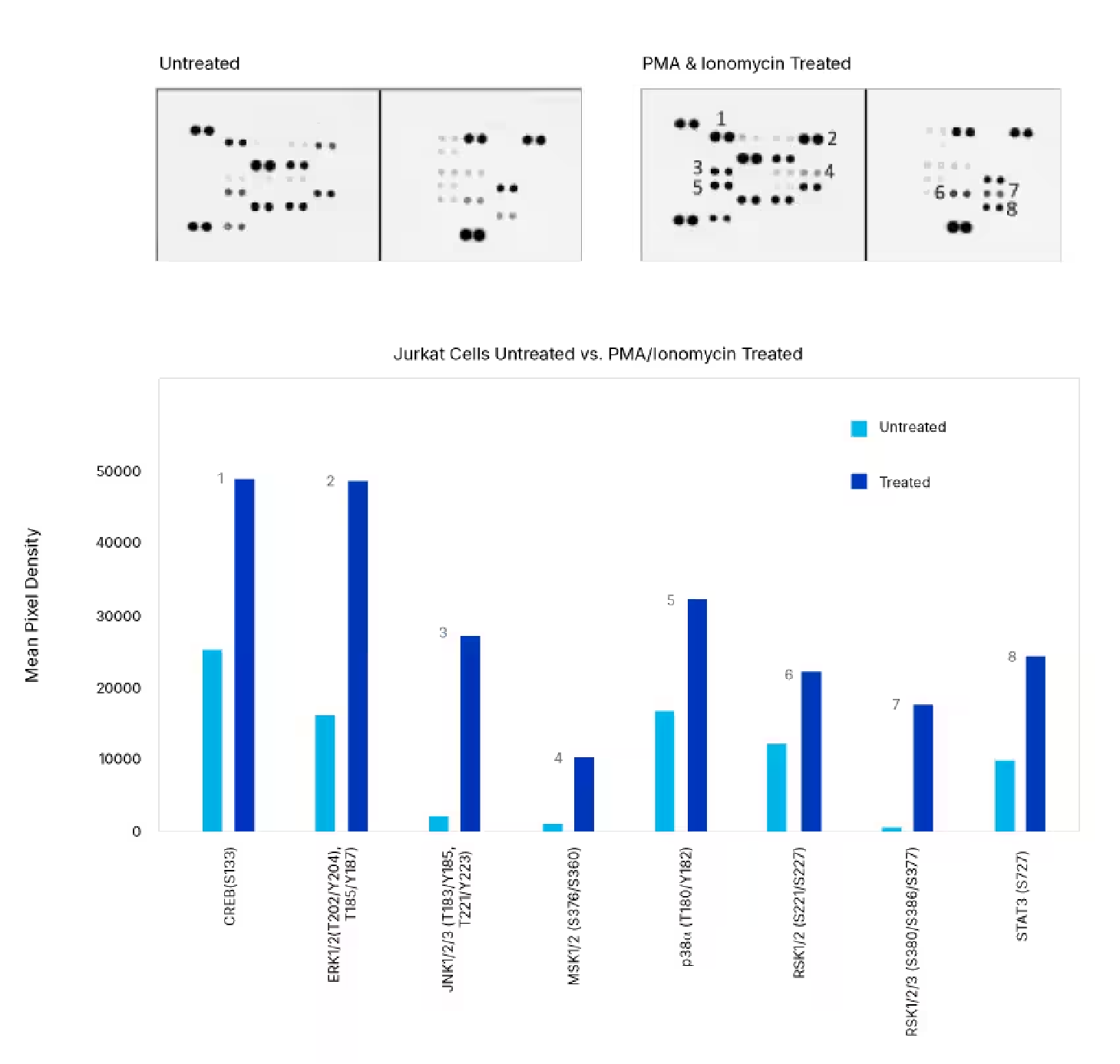 ERK Signal - Fig3