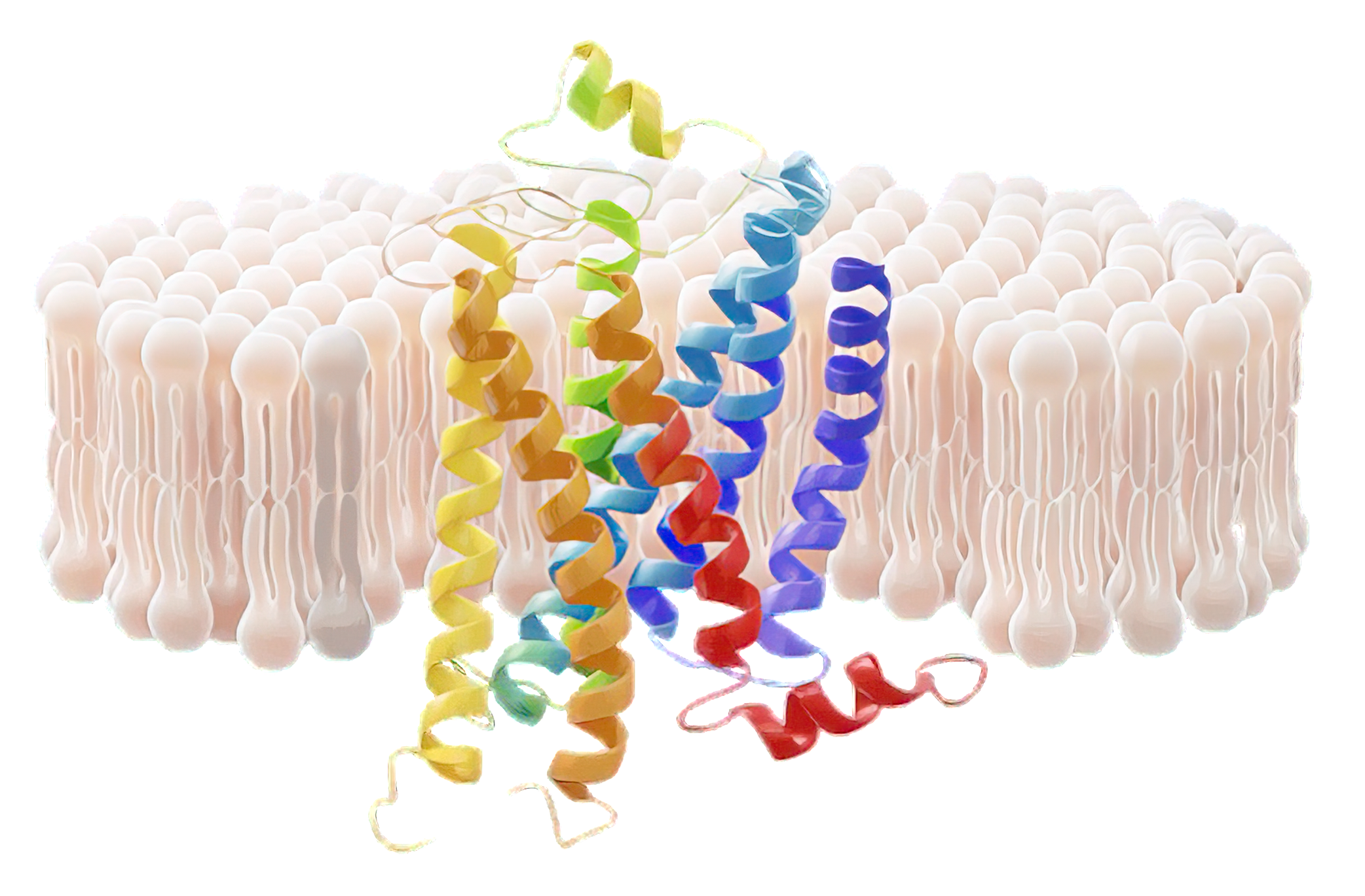 Pharmacology banner image