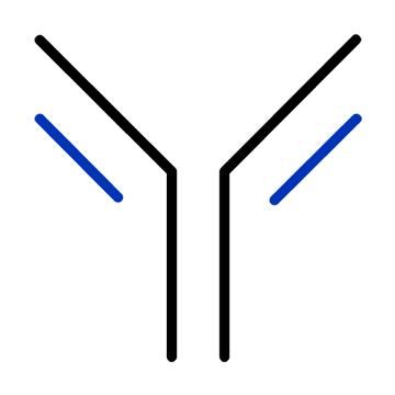 Antibodies Icon