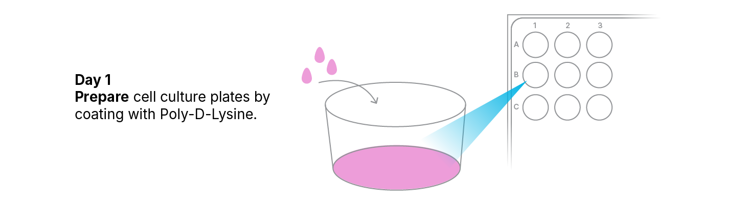 Protocol for Culturing Rat Microglia