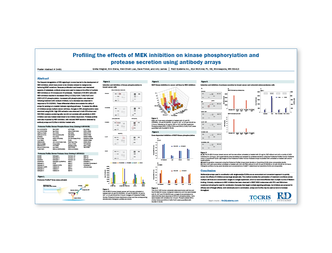 Profiling the effects of MEK inhibition on kinase phosphorylation and protease secretion using antibody arrays thumb