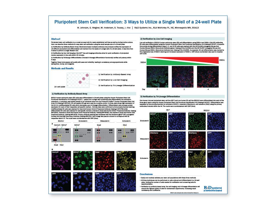 Pluripotent Stem Cell Verification: 3 Ways to Utilize a Single Well of a 24-well Plate thumb