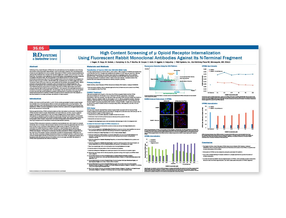 High Content Screening of mu Opioid Receptor Internalization Using Fluorescent Rabbit Monoclonal Antibodies Against Its N-Terminal Fragment thumb